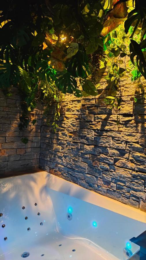 Jungle Room Канны Экстерьер фото
