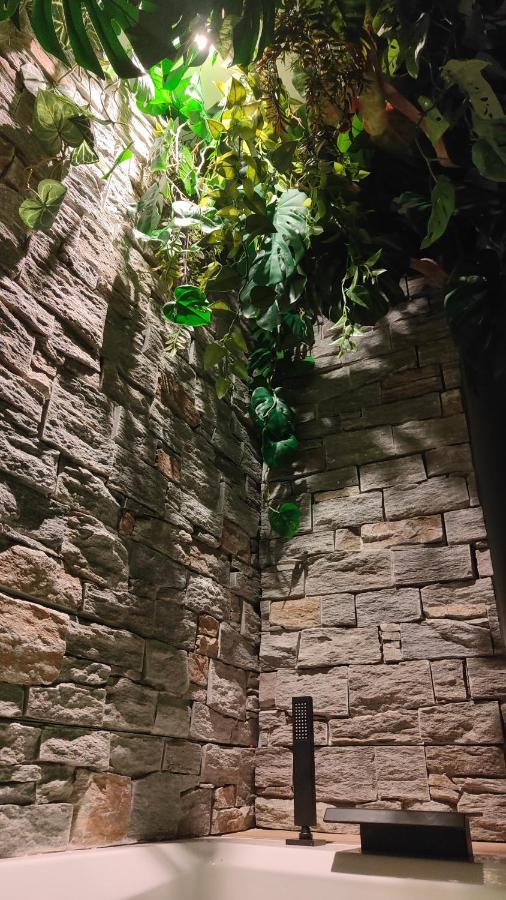 Jungle Room Канны Экстерьер фото