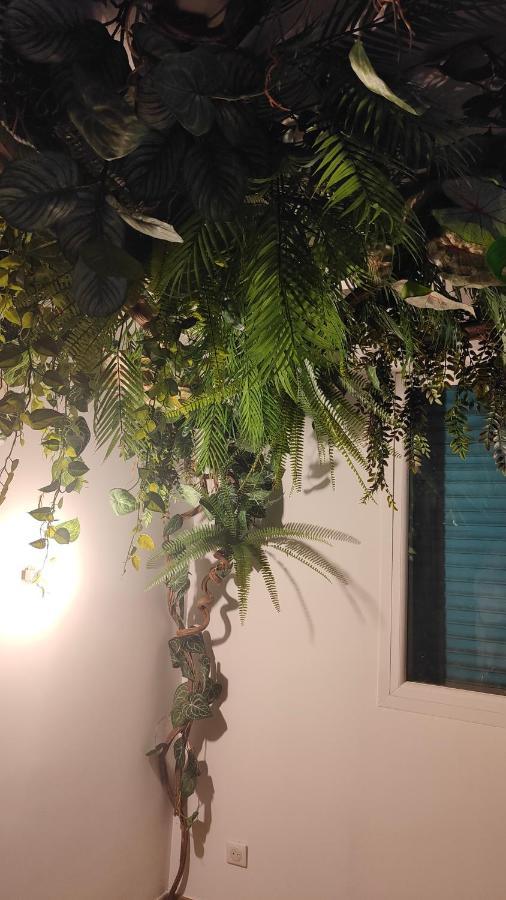Jungle Room Канны Экстерьер фото