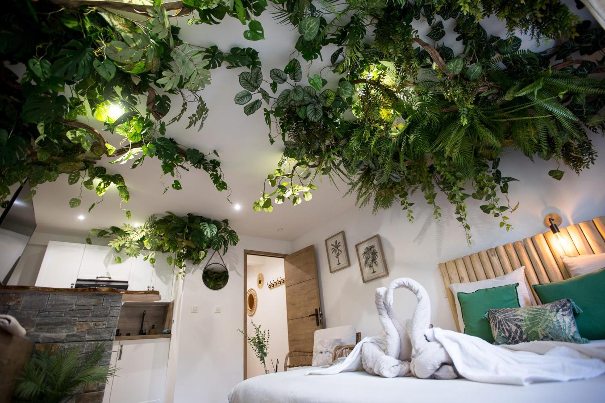 Jungle Room Канны Экстерьер фото